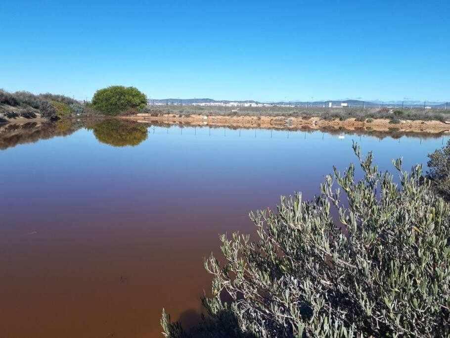 法鲁区Ria Formosa Pineview别墅 外观 照片